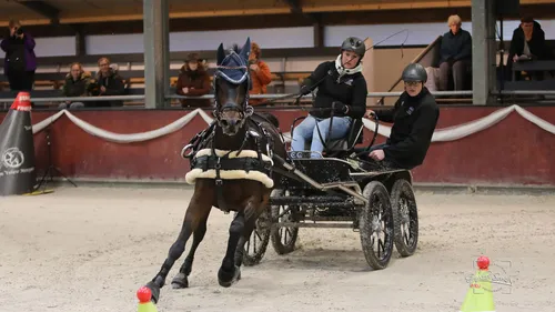 2023 11 04 menindoor 06