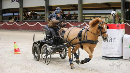 2023 11 04 menindoor 11