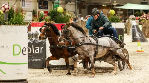 2023 11 04 wout kok fotograaf marcel van den bos 1