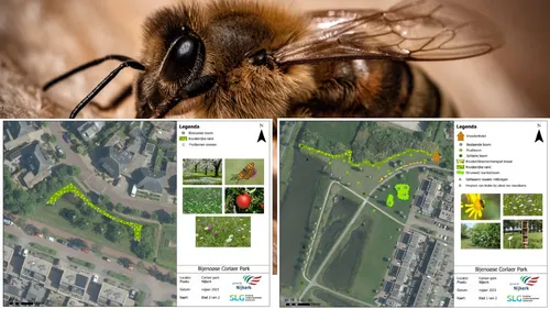 2023 11 15 bijenoase corlaer park