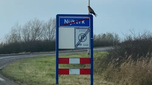 2023 12 03 wespendief 2