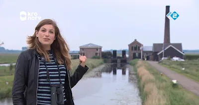 binnenstebuiten2bhuiszwaluw