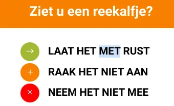 screenshot 2022 10 11 105926