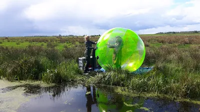 whatsapp2bimage2b2018 08 282bat2b090411