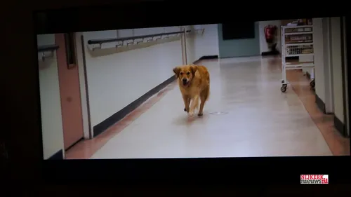 2023 12 08 sandy in film 05