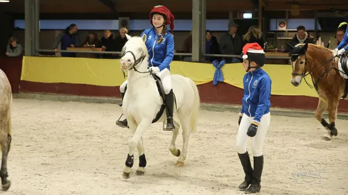 2023 12 17 luxool 20