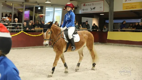 2023 12 17 luxool 21