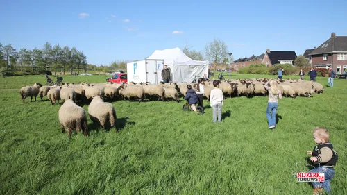 2024 04 10 meida ukkie dagen 07