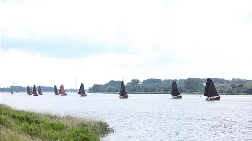 2024 05 31 botters 09