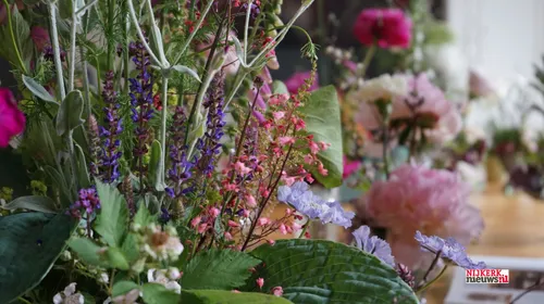 2024 06 02 inspiratiedag 10