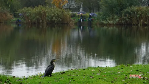 2024 10 19 hoop op geluk 06