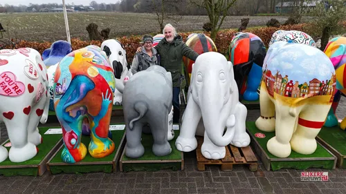 2025 02 11 elephant nicole des bouvrie01