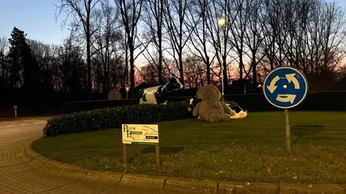 2025 02 16 olifant 29