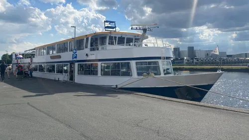 2025-09-01 zonnebloem 4