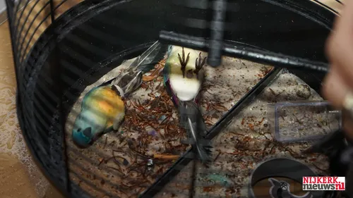 2025-10-06 brandweervoorlichting-11