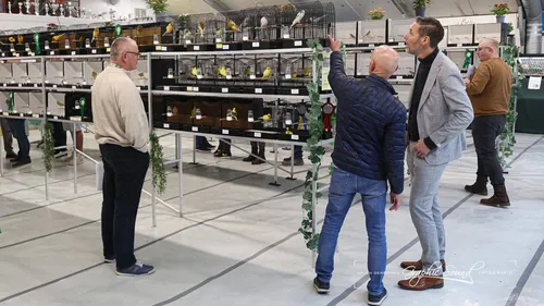 2025-11-05 de vogelvriend 27