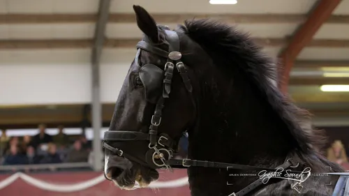 2025-11-06 menindoorr 09