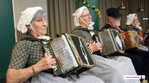 2025-11-13 zonnebloem 1