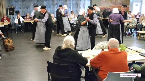 2025-11-13 zonnebloem 2