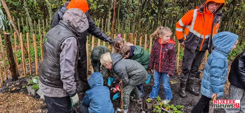 2025-11-19 boomplantdag-06