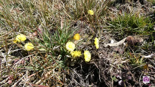 2026-02-25 ivn jeugd 2