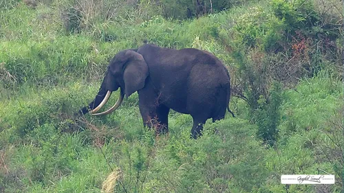 2026-03-05 oeganda 2