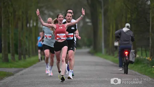 2026-04-11 halve van harry 1-6