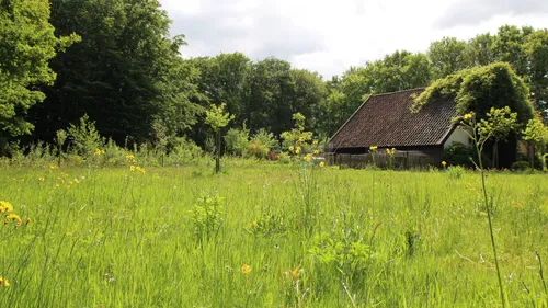 2026-04-29 slg open erf