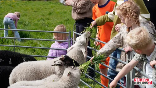 2026-04-SCHAAPSKUDDE-6