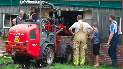 2026-06-30 varkens in mestkelder 1