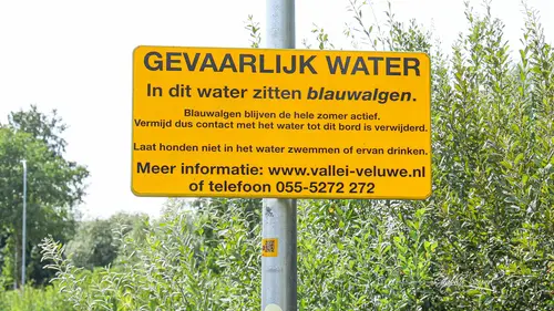 2026-08-08 droogte  blauwalgz5069