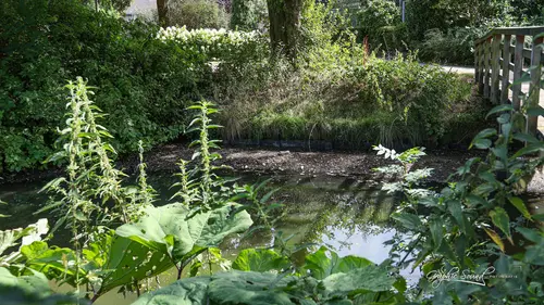 2026-08-08 droogte z5057