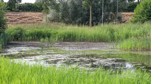 2026-08-08 droogte z5058