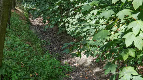 2026-08-08 droogte z5075