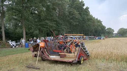 2026-08-15 appelse oogstdag-219