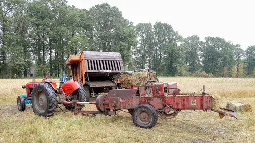 2026-08-15 appelse oogstdag-223
