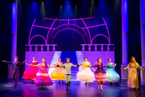 assepoester de musical 010 wim lanserklein