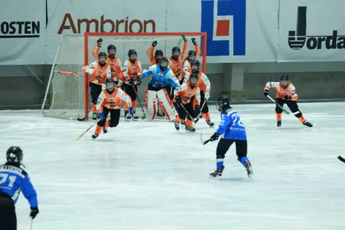 bandyvrouwen zweden 23 3jpg