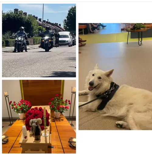 hesselinguitvaartverzorging 1