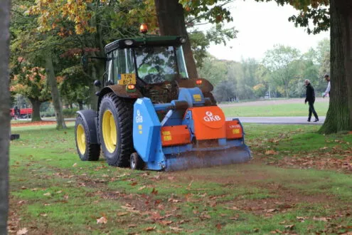 img 3506 e1666682140772 495x330