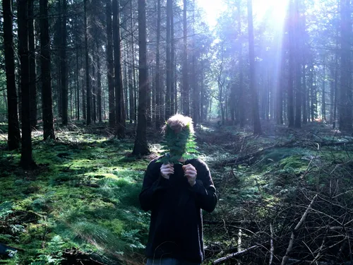 kopie van maartenvos press1 1