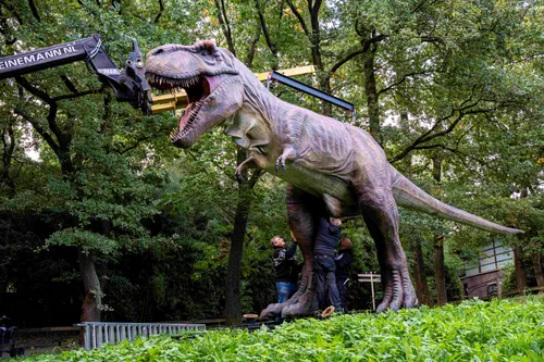 Tyrannosaurus Rex wordt geplaatst