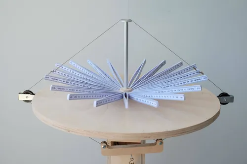 Yip Stals, Bloom (close up), 2025