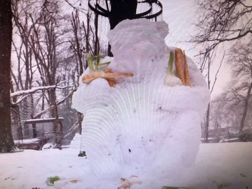 chimpansees.sneeuw.2.IMG_4013