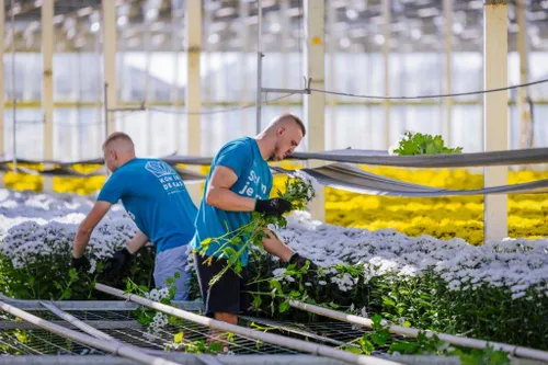 Kom in de Kas 2025.Quinten den Hertog