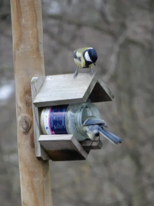 image10 e1586331332475