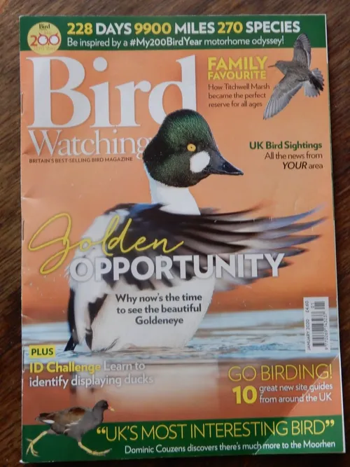 image11 e1587480745611