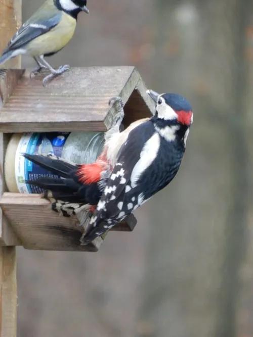 image11 e1593089991647