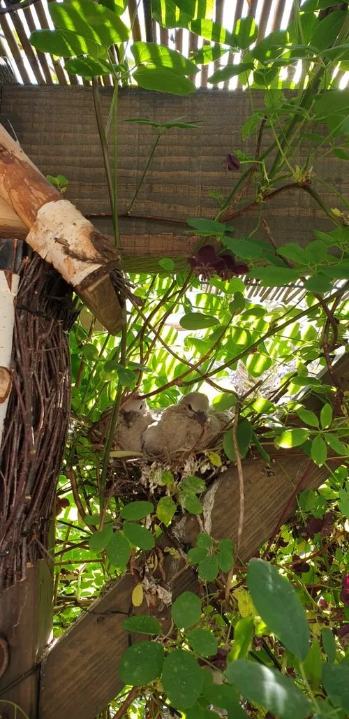 image14 e1588691758500