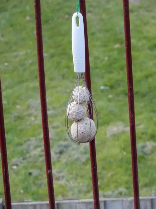 image15 e1590055987164